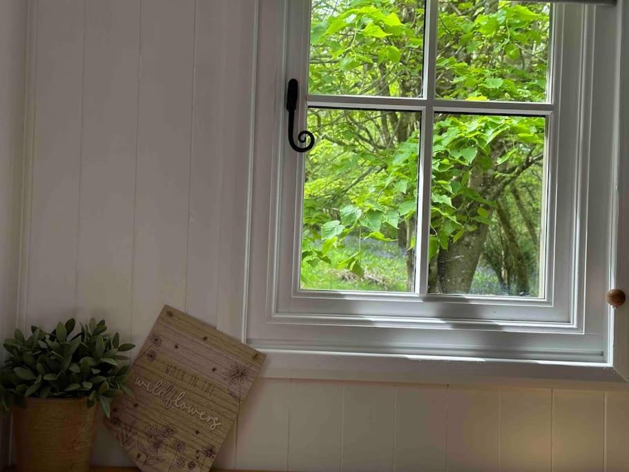 Cornwall Woodland Shepherd'S Hut Deirdres Hut โบดมิน ภายนอก รูปภาพ