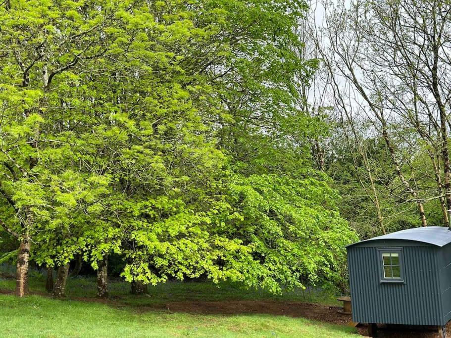 Cornwall Woodland Shepherd'S Hut Deirdres Hut โบดมิน ภายนอก รูปภาพ
