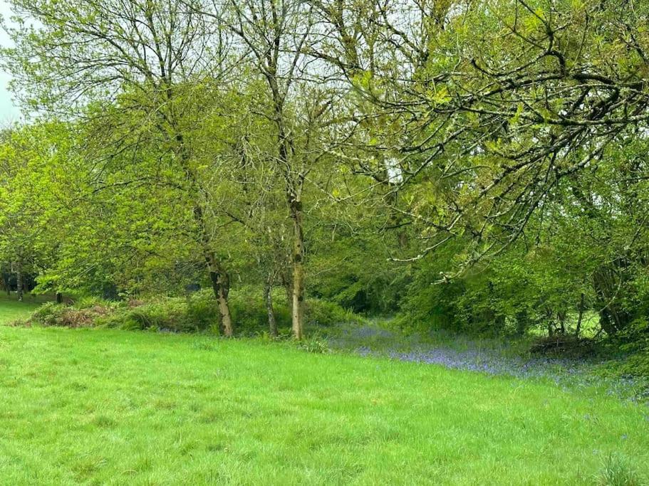 Cornwall Woodland Shepherd'S Hut Deirdres Hut โบดมิน ภายนอก รูปภาพ