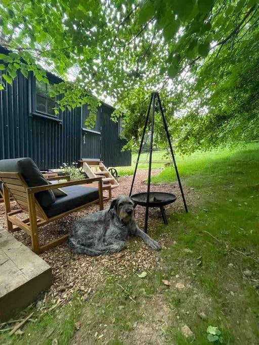 Cornwall Woodland Shepherd'S Hut Deirdres Hut โบดมิน ภายนอก รูปภาพ