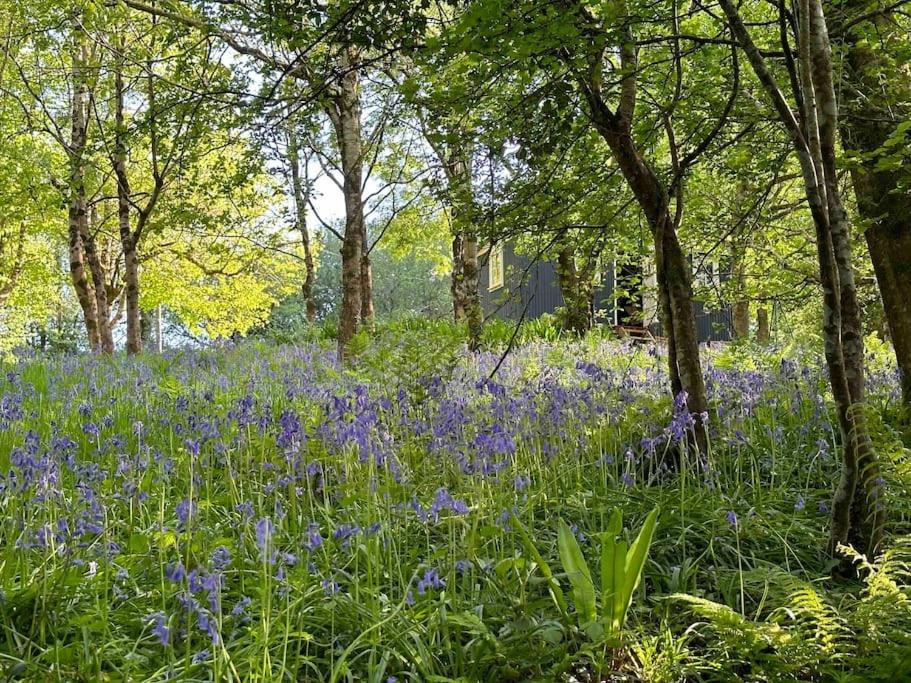 Cornwall Woodland Shepherd'S Hut Deirdres Hut โบดมิน ภายนอก รูปภาพ