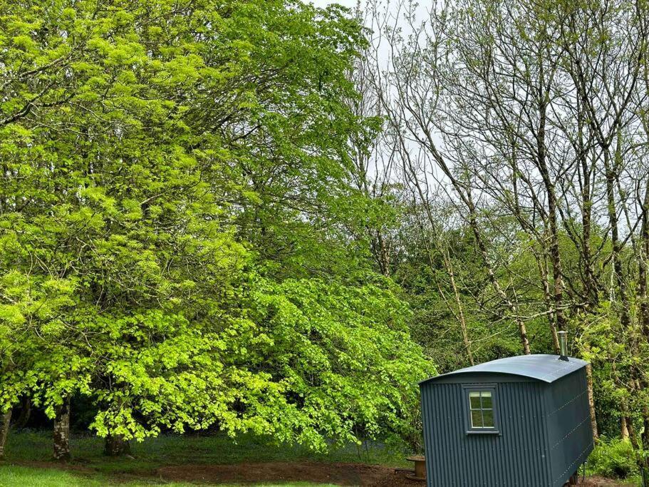 Cornwall Woodland Shepherd'S Hut Deirdres Hut โบดมิน ภายนอก รูปภาพ