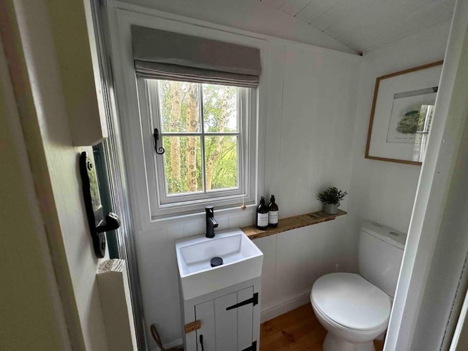 Cornwall Woodland Shepherd'S Hut Deirdres Hut โบดมิน ภายนอก รูปภาพ