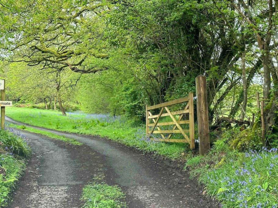 Cornwall Woodland Shepherd'S Hut Deirdres Hut โบดมิน ภายนอก รูปภาพ