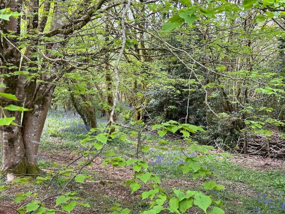 Cornwall Woodland Shepherd'S Hut Deirdres Hut โบดมิน ภายนอก รูปภาพ